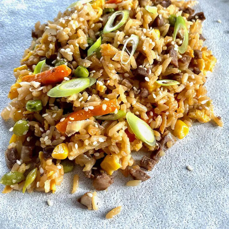 Venison Fried Rice - TRAVOCA